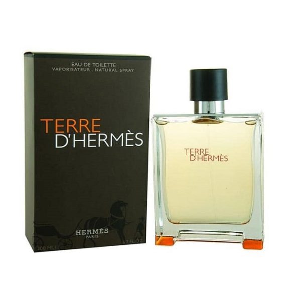 عطر ادکلن هرمس تق هرمس Hermes Terre d’Hermes